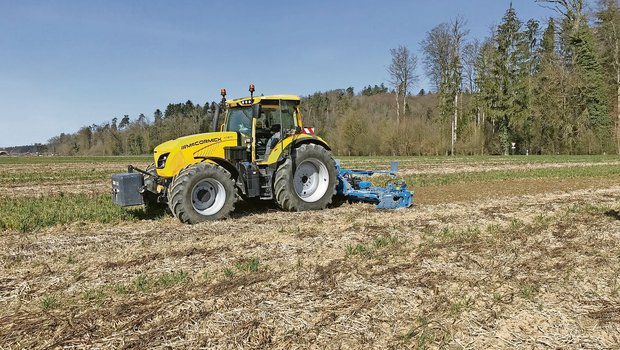 Tagebuch: Anbaustrategien im Rübenbau Jede Parzelle erfordert aufgrund der Vorkultur und der Bodenbeschaffenheit ein eigenes Vorgehen.(Bild Lukas Streit)