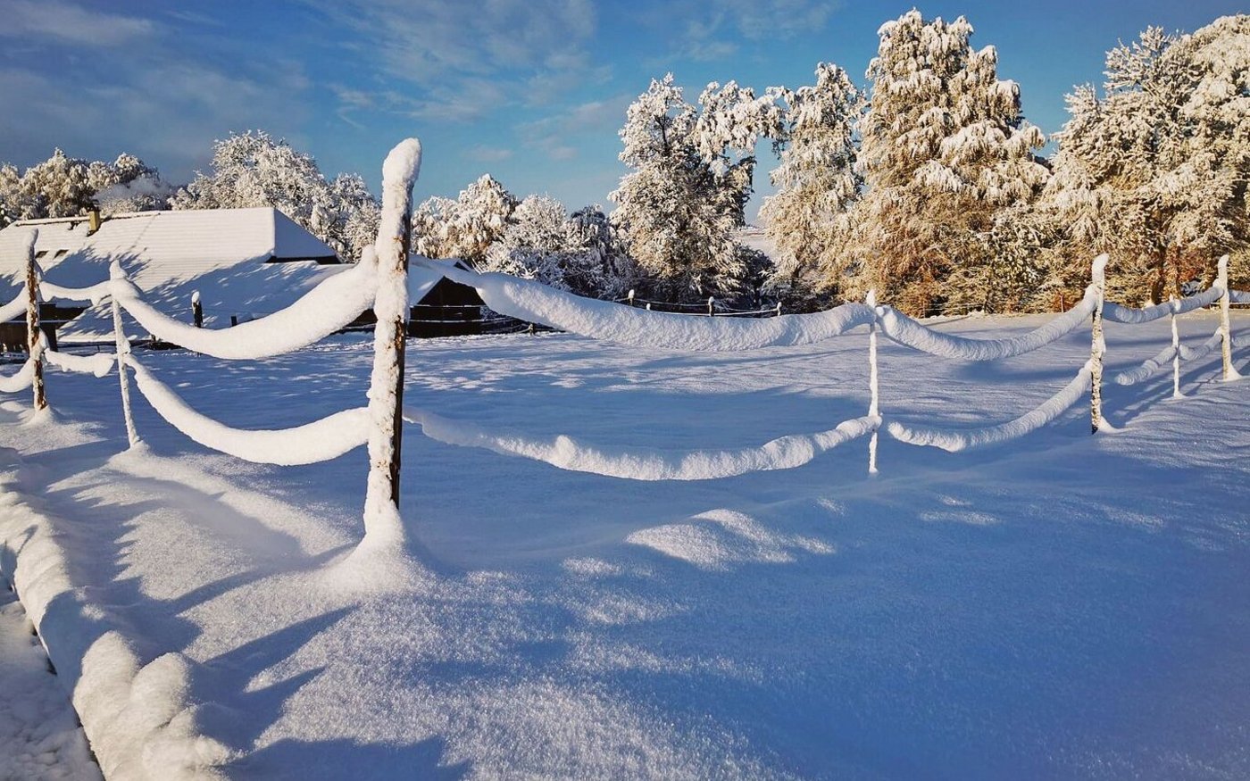 Auf dem Belpberg nahe Bern zaubern Schnee und Sonnenlicht eine wunderschöne Winterstimmung.