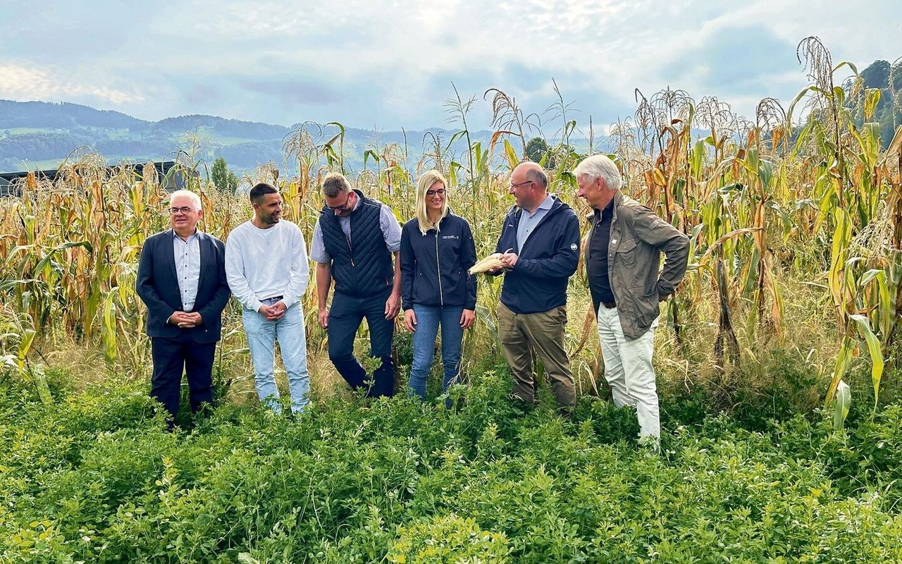 Austausch am Ribelmaisfeld: Klaus Brammertz (Arbeitgeberpräsident Rheintal), Christian Lütolf, Peter Nüesch, Vivienne Oggier, Beat Tinner (Regierungsrat) und Ernst Lütolf (v. l.).