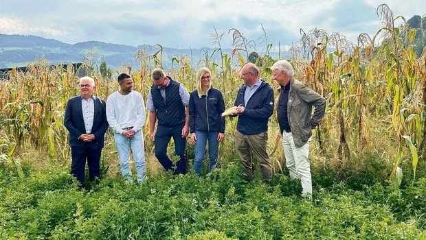 Austausch am Ribelmaisfeld: Klaus Brammertz (Arbeitgeberpräsident Rheintal), Christian Lütolf, Peter Nüesch, Vivienne Oggier, Beat Tinner (Regierungsrat) und Ernst Lütolf (v. l.).