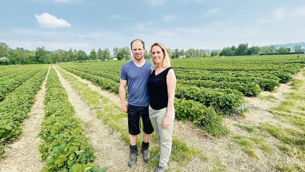 Jürg und Priska Morf organisieren das Singlepflücken und machen Selfpick im grossen Stil mit Erdbeeren und Gemüse. 