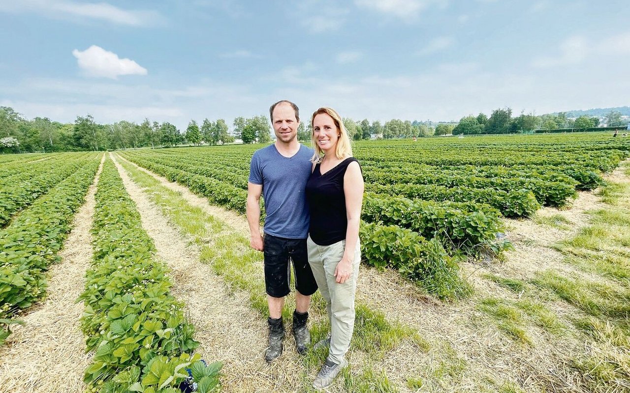 Jürg und Priska Morf organisieren das Singlepflücken und machen Selfpick im grossen Stil mit Erdbeeren und Gemüse. 