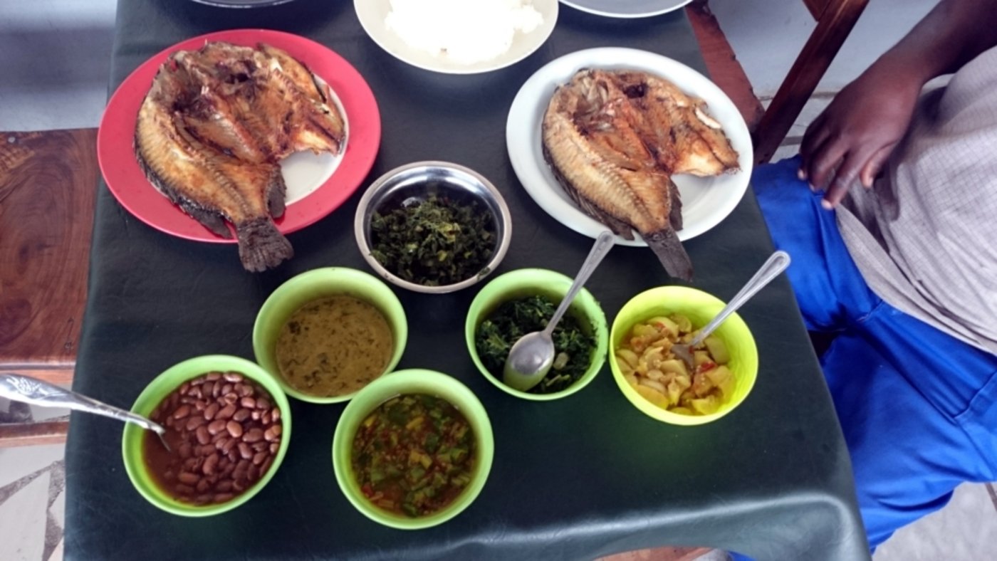 Sambische Gemüsebeilagen im Gegenuhrzeigersinn, oben angefangen: Rapsblätter („Rape“), afrikanischer Kohl an Erdnuss-Sauce („Lubanga“), Bohnen, Gemüse-Eibisch („Okra“), äthiopische Aubergine („Impwa“) und Kürbisblätter („Chibwabwa“). 