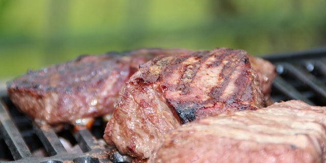 Der Umweltschutzorganisation Greenpeace ist der Fleischkonsum ein Dorn im Auge. 