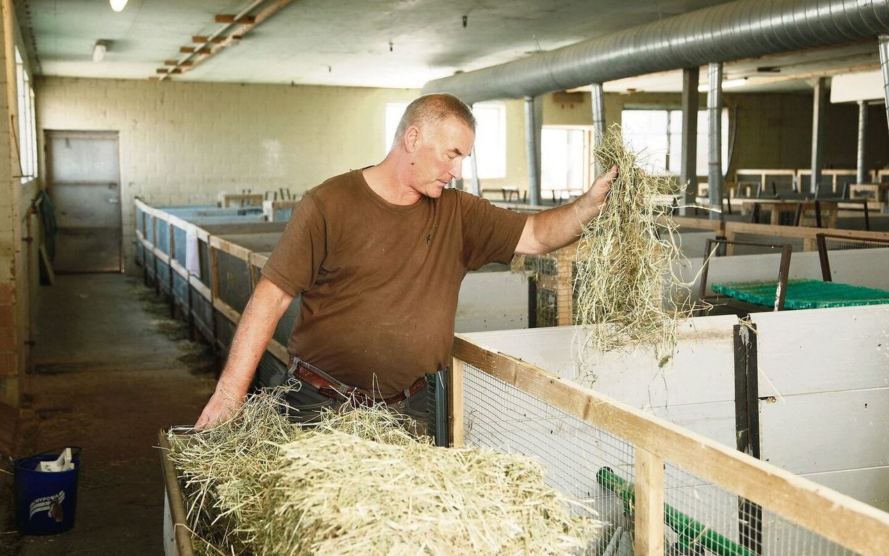 Felix Näf füttert die Kaninchen mit frischem Heu. Er ist für die Tierbetreuung auf dem Betrieb verantwortlich. 