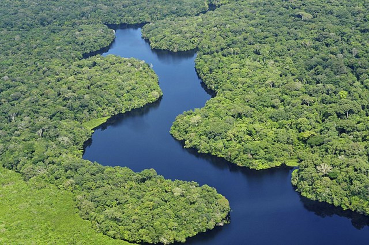Der Amazonas, der grösste Regenwald der Erde, büsste seit 1995 mehr als 310'000 Quadratkilometer ein. (Bild Neil Palmer/CIAT - Flickr, CC BY-SA 2.0)