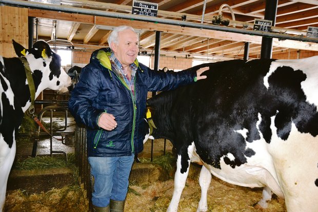 Zwischen den Holstein-Kühen seines Bruders Walter fühlt sich Hans Baumgartner wie zu Hause.(Bilder Peter Fankhauser)
