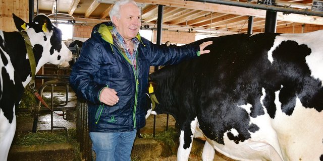 Zwischen den Holstein-Kühen seines Bruders Walter fühlt sich Hans Baumgartner wie zu Hause.(Bilder Peter Fankhauser)