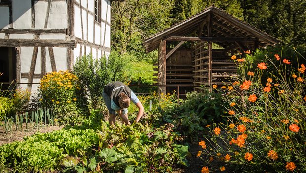 2020 lautet das Jahresthema des Freilichtmuseums Ballenberg «Garten». In 12 neu bepflanzten Gärten wird die Geschichte des Gemüsebaus in der Schweiz aufgezeigt. (Bild zVg)