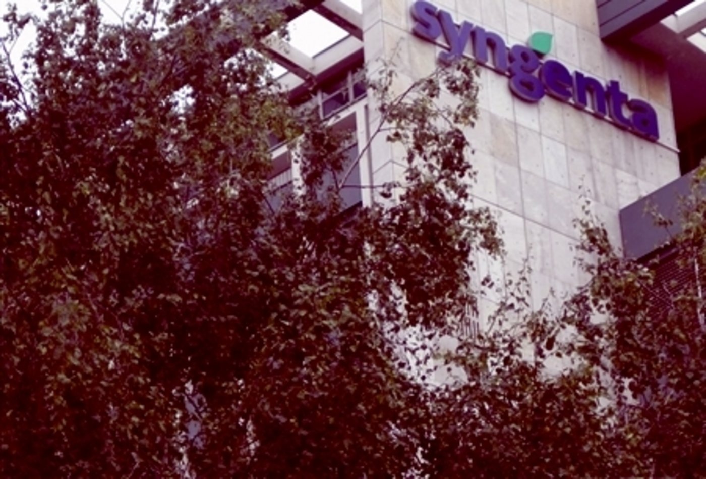 Syngenta habe in Abstimmung mit der indischen Behörde Abhilfemassnahmen vorgeschlagen. (Symbolbild hja)