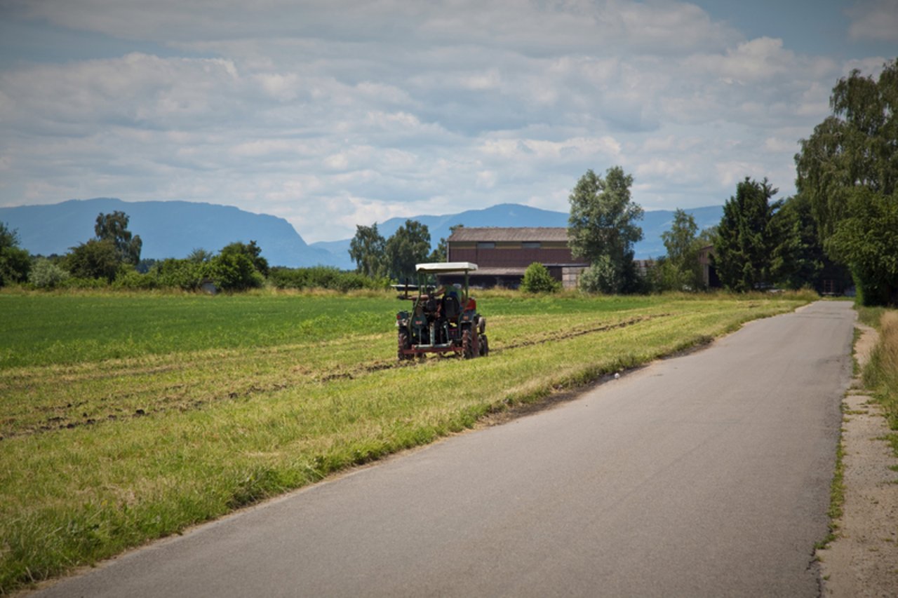 Ein aussergewöhnliches Wetterjahr wirkte sich auf die Landwirtschaft aus. (Bild ji)