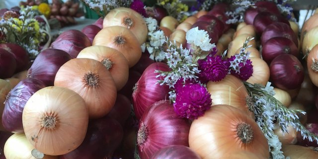 Zwiebel-Zöpfe gehören zu den beliebtesten Verkaufsobjekten des Markts. (Bild Marcel Schmid)