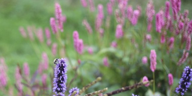 Die Natur hält gesund. (Bild lid / ji)