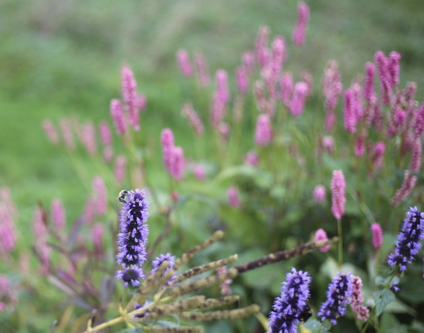 Die Natur hält gesund. (Bild lid / ji)