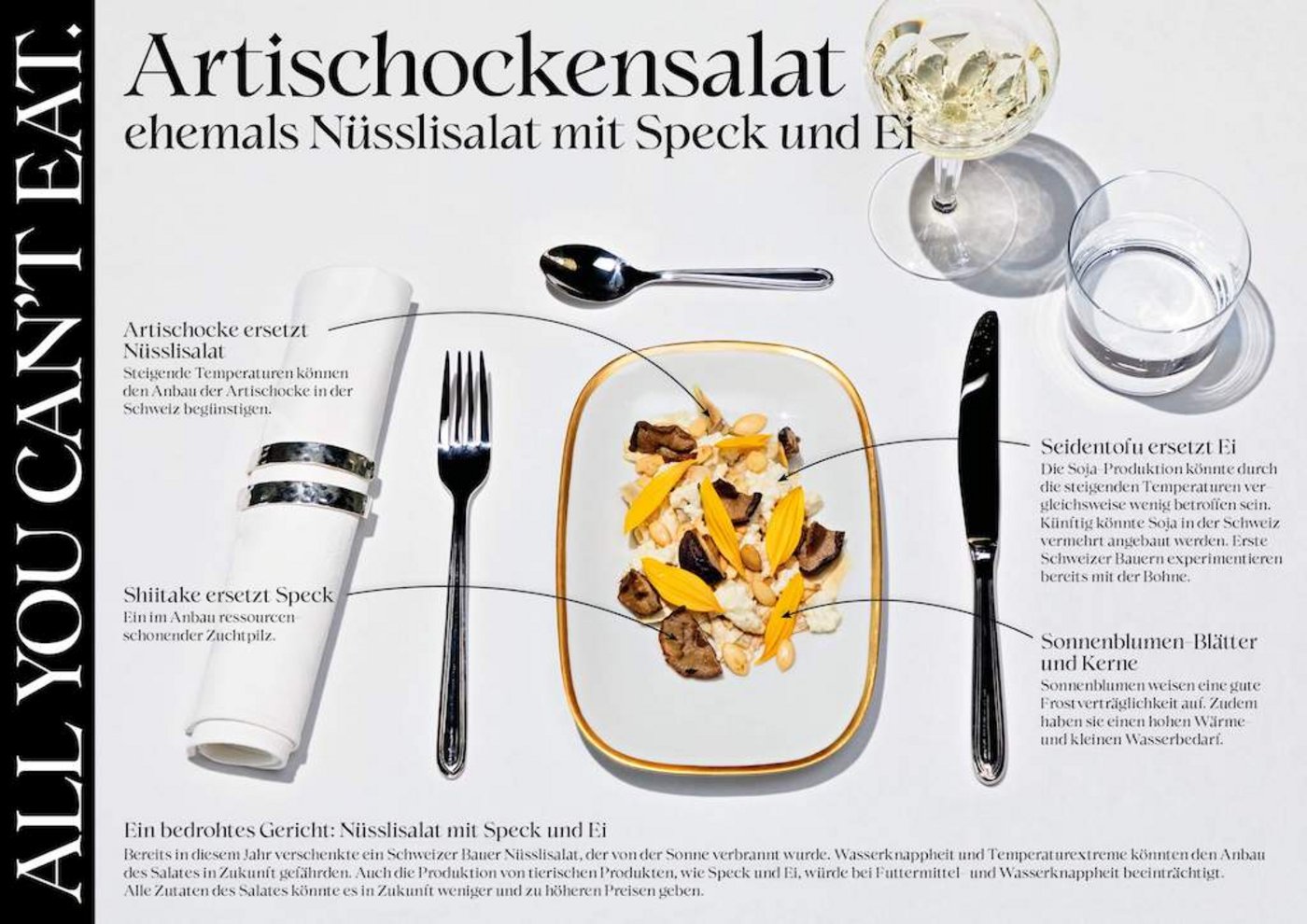 Die Umweltorganisationen sehen Potenzial für den Anbau von Soja in der Schweiz. (Bild Umweltallianz)