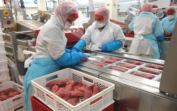 In der Fleischverarbeitung gelten strenge Hygieneregeln, die ohne Biozide nicht umzusetzen wären. (Bild BauZ)
