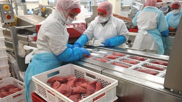 In der Fleischverarbeitung gelten strenge Hygieneregeln, die ohne Biozide nicht umzusetzen wären. (Bild BauZ)