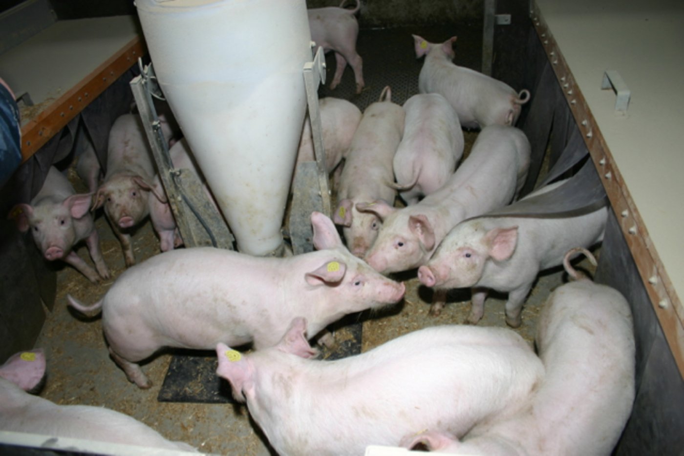 Jagerstall: Im Kampf gegen die Überproduktion wurden verschiedenen Massnahmen beschlossen. (Bild BauZ)