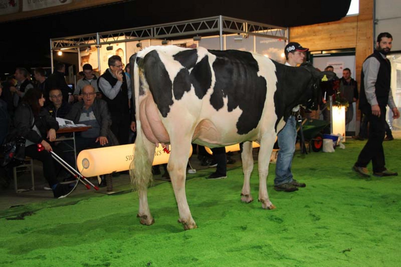 Tochter vom Holstein-Stier Milton.