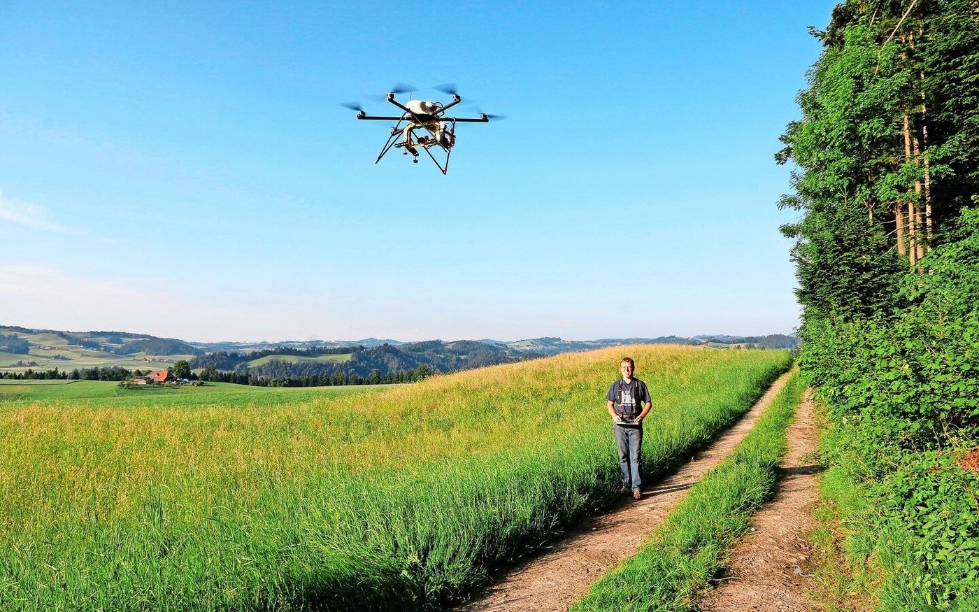 Vor allem entlang von Waldrändern ist das Risiko hoch, dass jetzt Rehkitze im noch nicht gemähten Gras liegen. Drohnen können diese aufspüren. 