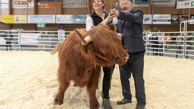 Die Rassensiegerin Caroline ist nicht leicht zu bändigen. (Bild zVg)