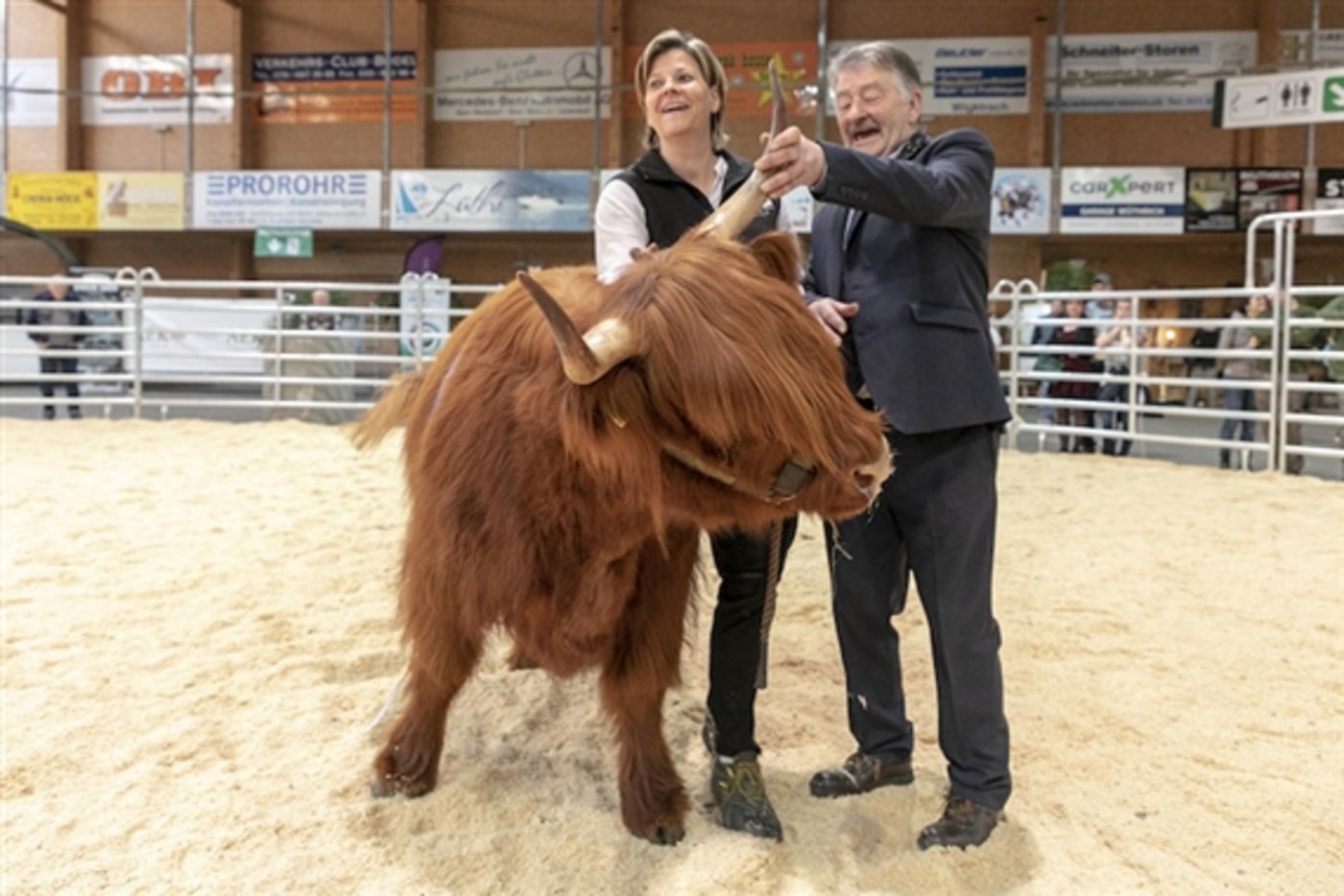 Die Rassensiegerin Caroline ist nicht leicht zu bändigen. (Bild zVg)