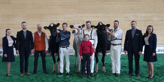 Holstein Podest (Bilder Ruth Aerni)