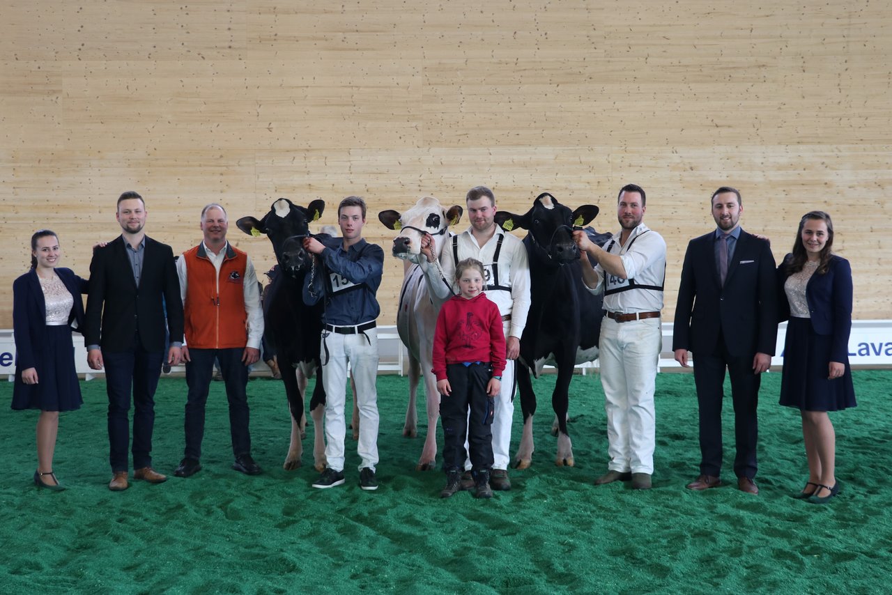 Holstein Podest (Bilder Ruth Aerni)