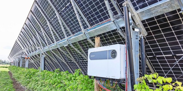 PV-Anlagen schützen bei Bioschmid die Himbeerkulturen vor Hagel und Sonnenbrand.