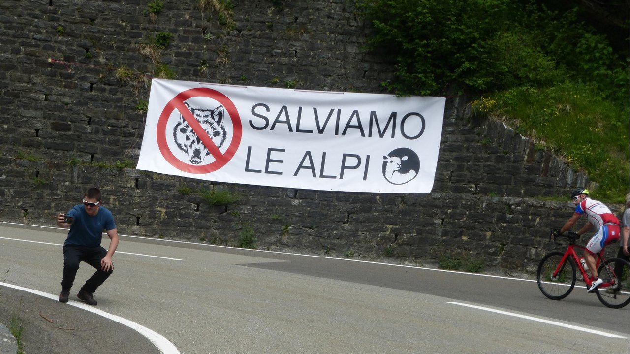 Die Plakate wurden in verschiedenen Teilen der Tour-de-Suisse-Route aufgehängt. (Bilder VSLvGRT)