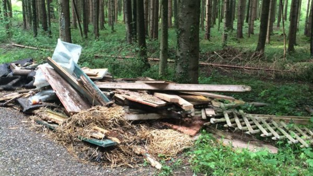 Statt ordentlich zu entsorgen kippten Unbekannte den Sperrmüll in den Wald. (Bild Kapo TG)