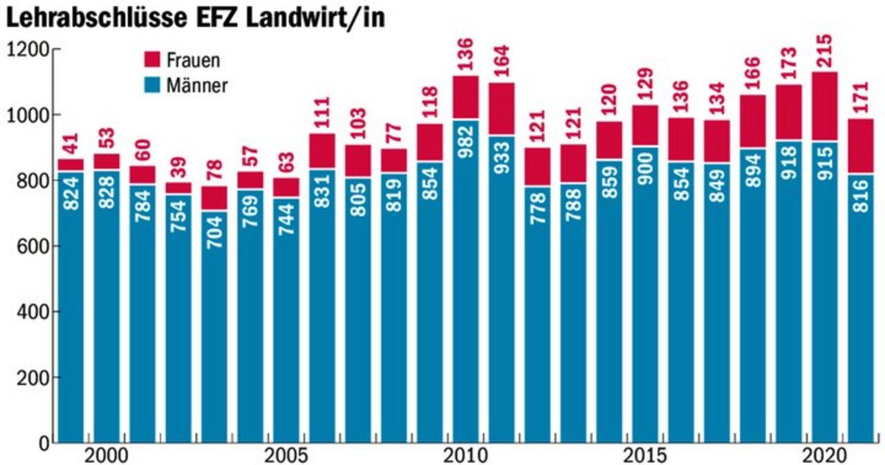 Eine Grafik zu den Lehrabschlüssen zeigt keine signifikanten Veränderungen in den vergangenen Jahren. Die Anzahl bleibt in etwa stabil.