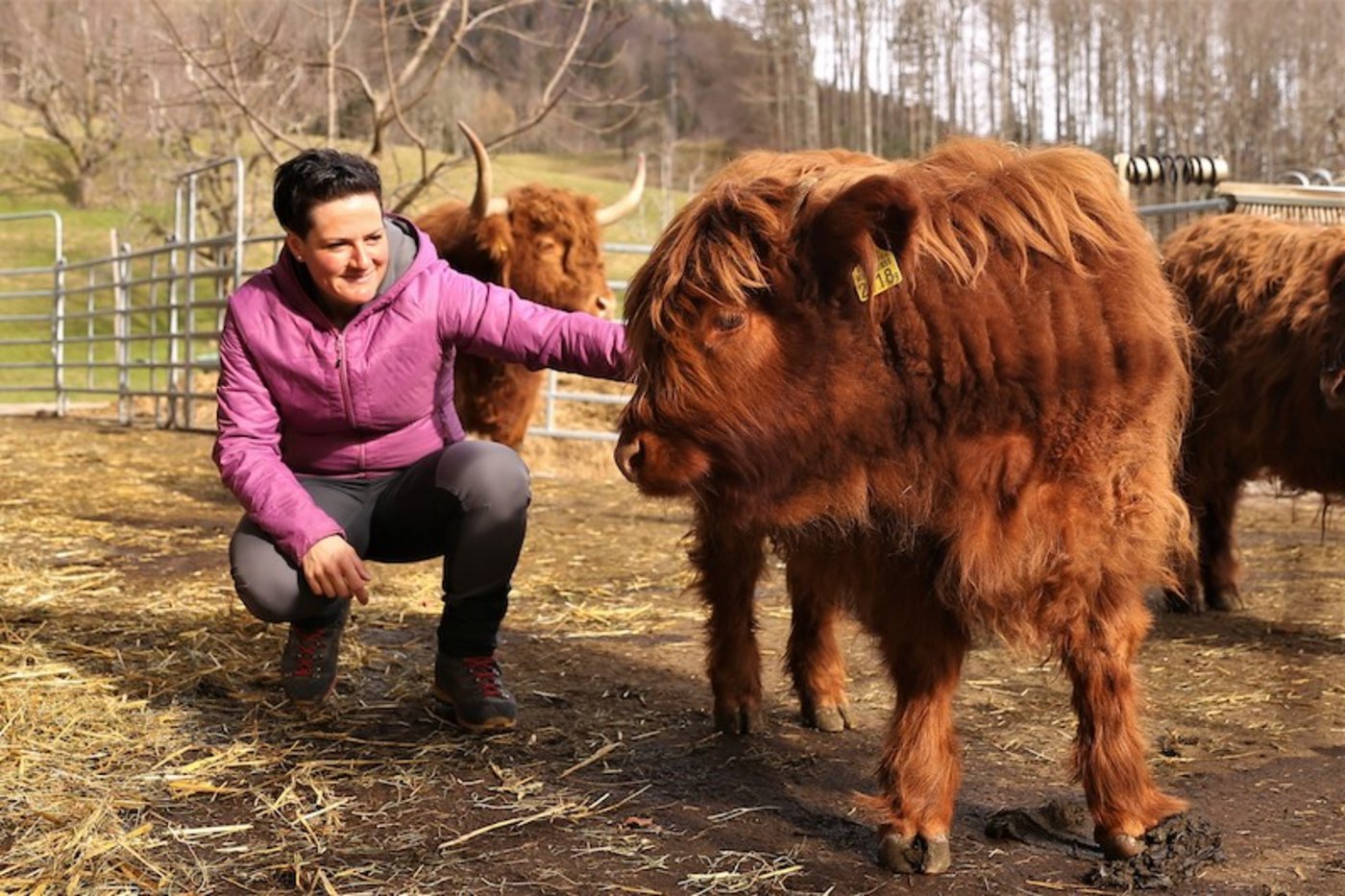 Dank der Umstellung von Milchkühen auf Schottische Hochlandrinder sind die fixen Melkzeiten auf dem Hof der Familie Ott weggefallen. Eveline Ott-Amgwerd hat so Freizeit gewonnen. (Bild Reto Betschart)