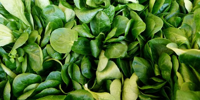 Nüssler ist derzeit knapp und entsprechend teuer: Auch die Produktion in der Schweiz ist wegen dem Wetter unterdurchschnittlich. (Bild Pixabay)