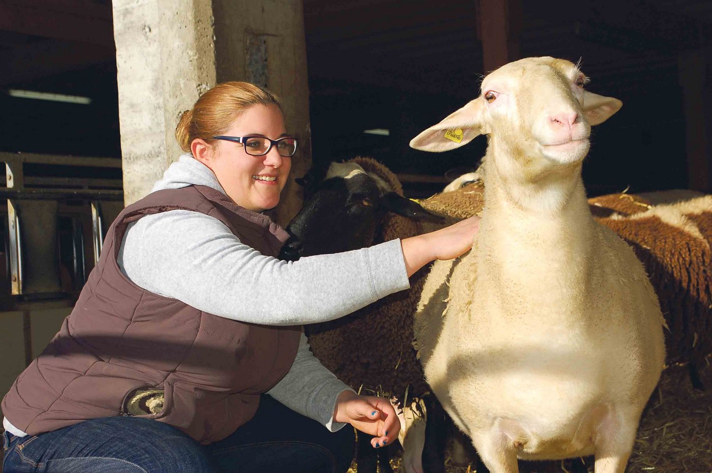 Genüsslich lässt sich die Lacaune-Aue von Martina Schafer kraulen. «Wer Schafe nicht mag, der sollte sich keine zutun, denn er wird keinen Erfolg damit haben», davon ist die angehende Betriebsleiterin überzeugt. (Bilder Daniela Joder)