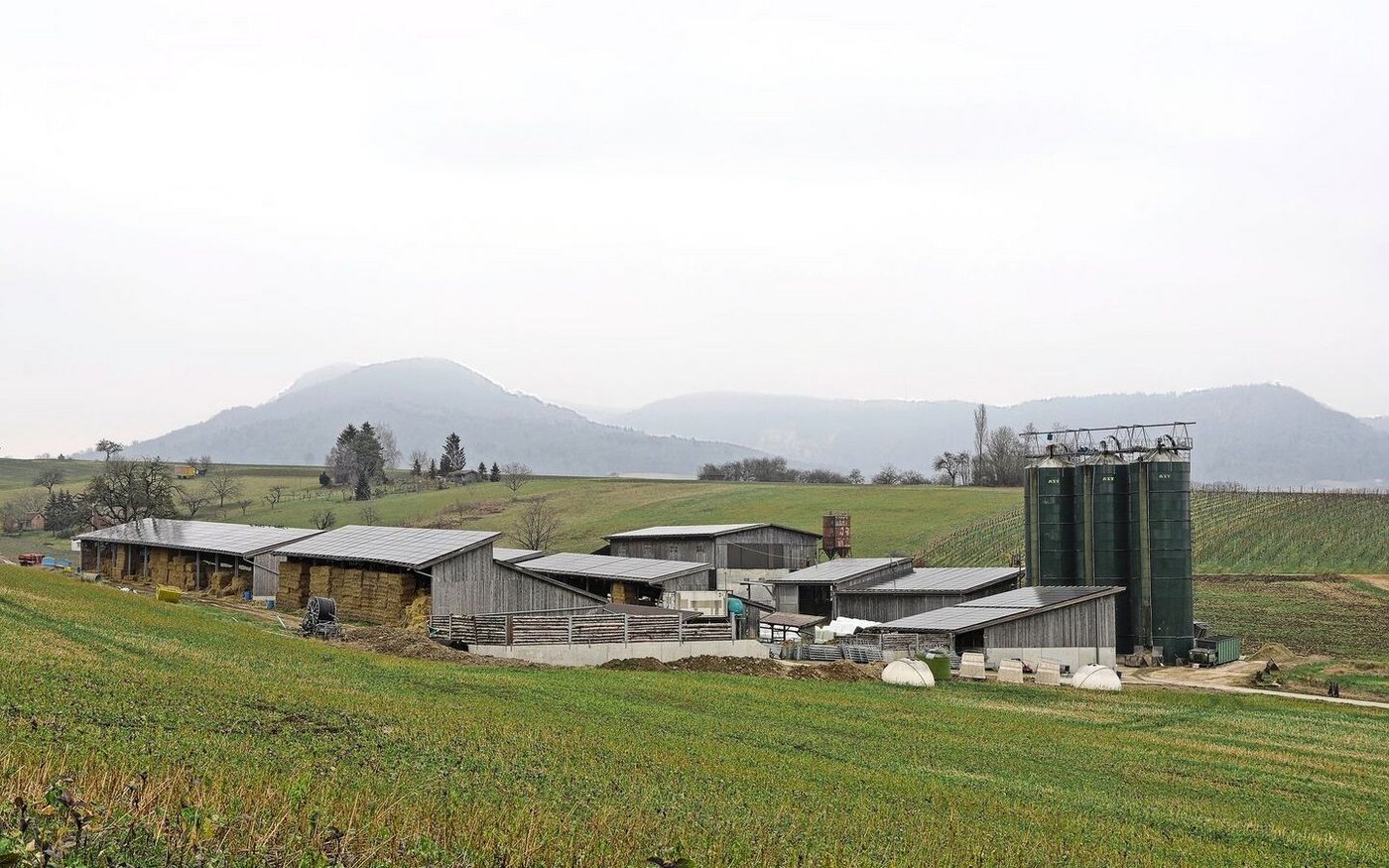 Die in den 1980er-Jahren erbauten Ställe stehen abseits des Dorfs. 300 Fresser und 300 Muni werden hier gemästet.