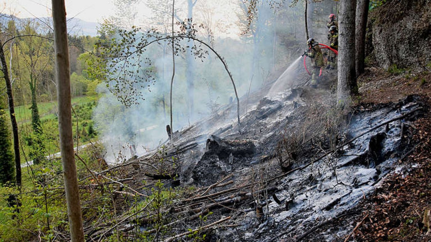Eine Feuerstelle dürfe aufgeflammt sein, heisst es zum Brand in Rapperswil-Jona. (Bild Kapo St. Gallen)