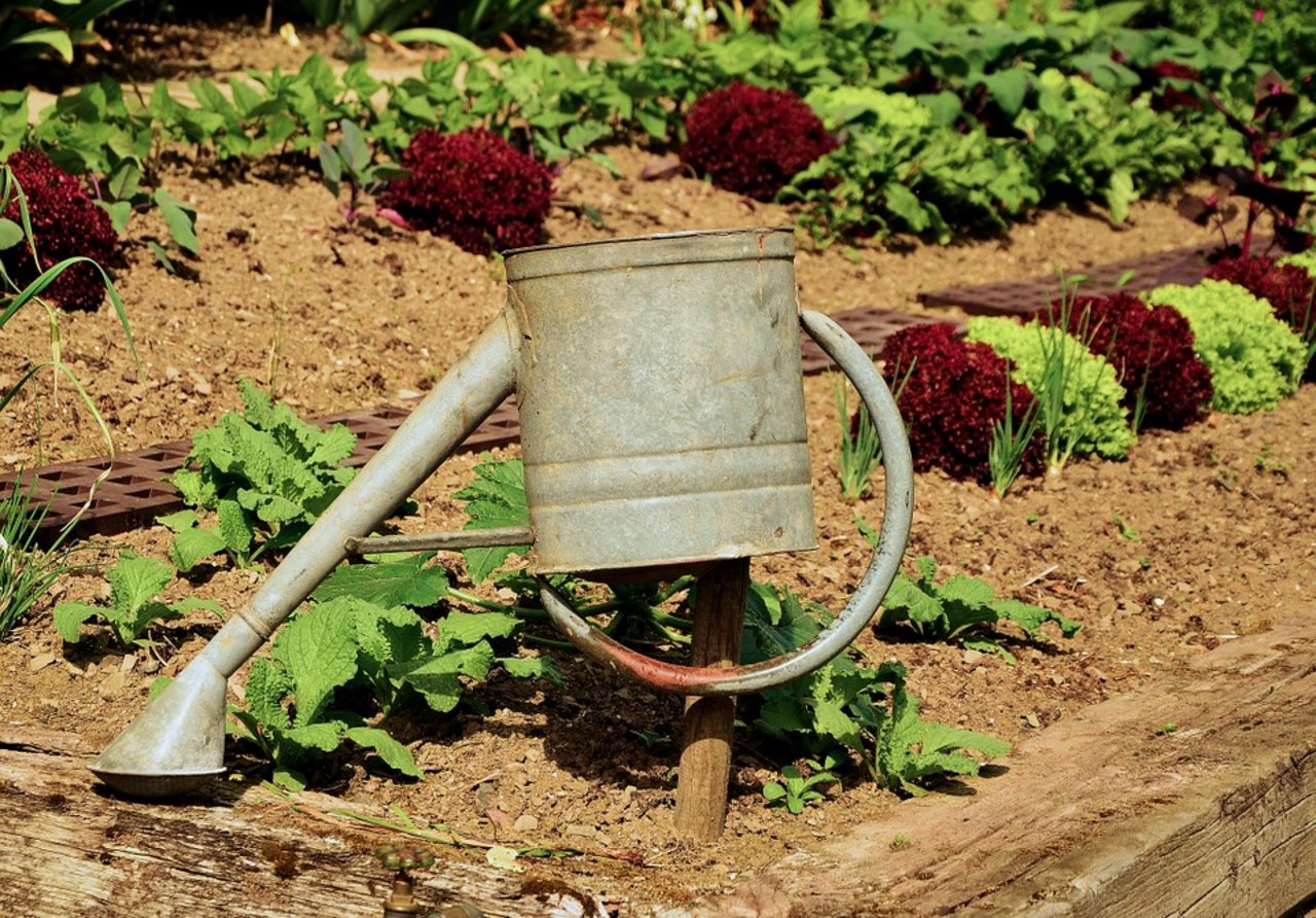 Typischer Gartenboden ist reich an Humus. (Bild Pixabay)