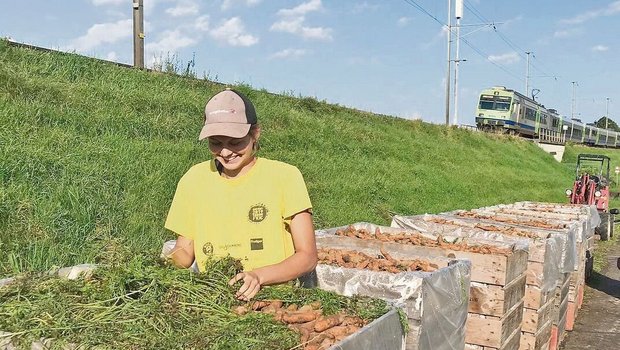 Hélène Vallotton ist im dritten Lehrjahr zur Landwirtin in Vielbringen bei Worb BE. Erntearbeiten mag sie besonders.