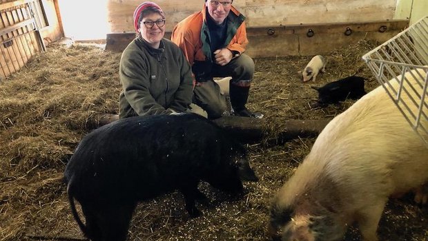 Susanne und Christian Knaus mit ihren Alpenschweinen: Bei der Muttersau vorne rechts stimmt zwar die Blutlinie, sie muss trotzdem ausgemerzt werden, da sie zu wenig schwarze Ferkel wirft. (Bilder Esther Thalmann)