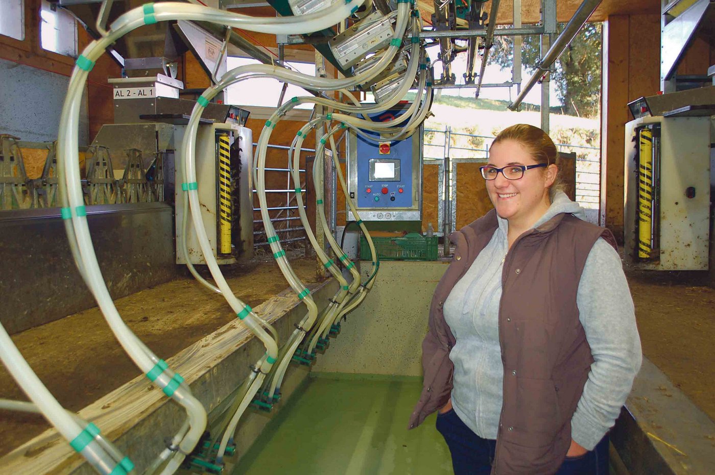 Alles ist im Schafmelkstand etwas kleiner und handlicher, aber mit moderner Computerfütterung hochprofessionell.