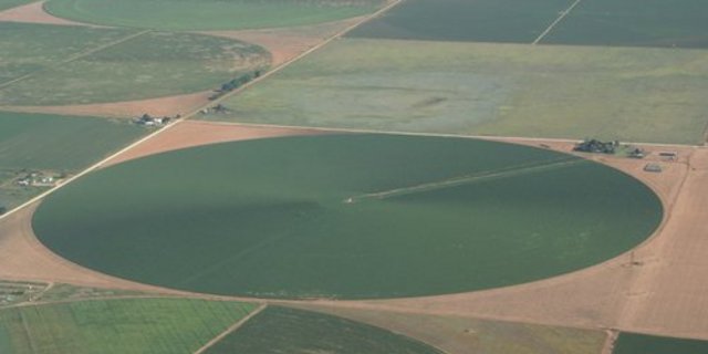 Weil wenig Niederschlag fällt, müssen die Kulturen bewässert werden. Doch damit sinkt der Grundwasserspiegel. (Bild: lid)