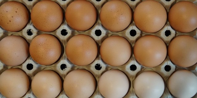 Im letzten Jahr wurden in der Schweiz so viele Eier konsumiert wie noch nie. (Bild Debora Meister/landwirtschaft.ch)