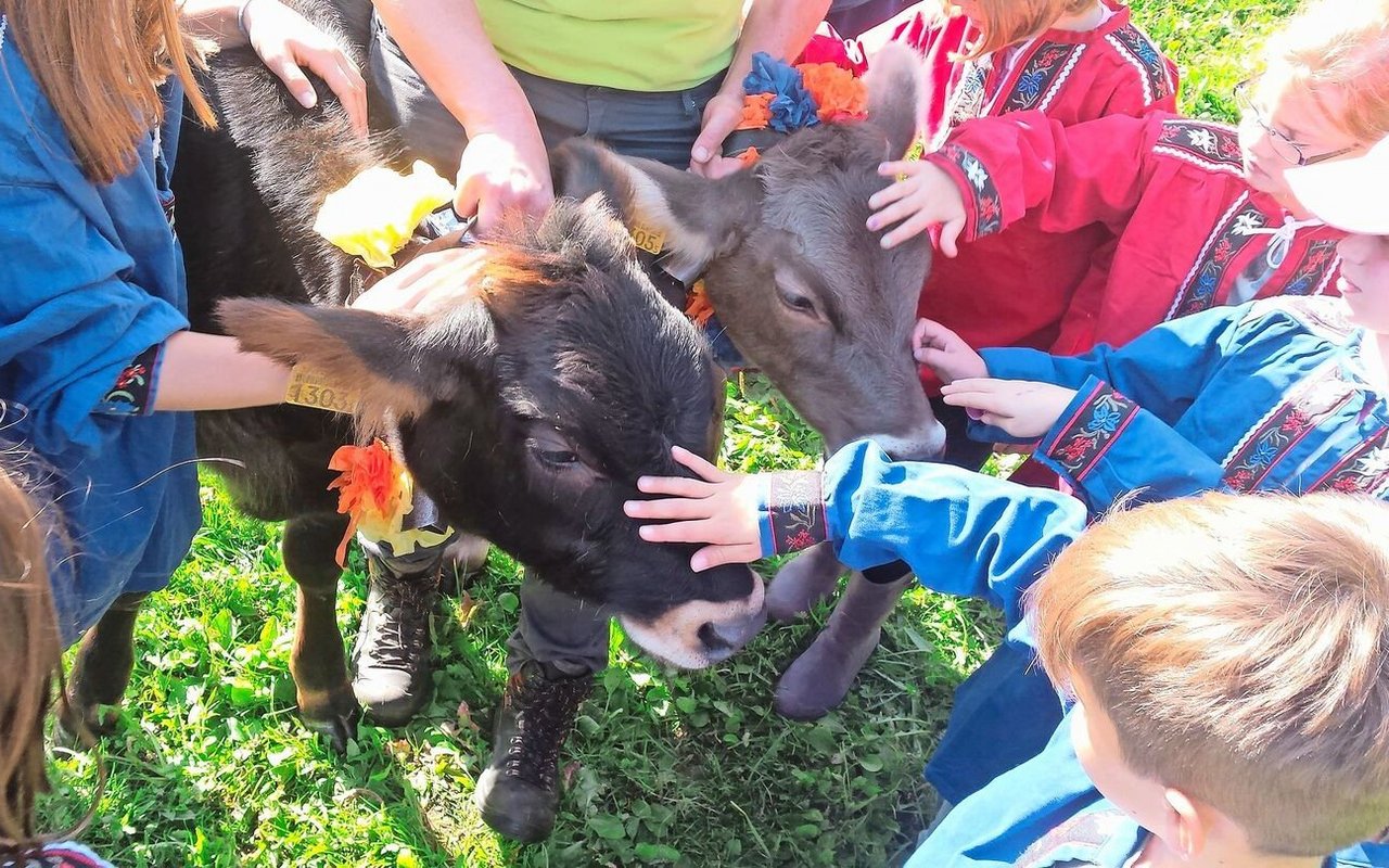 Auf dem Berghof Rohr kommen viele Kinder zum ersten Mal in Kontakt mit der Landwirtschaft. Das Einzugsgebiet der Bauernhofgeburtstage reicht bis nach Zürich. 