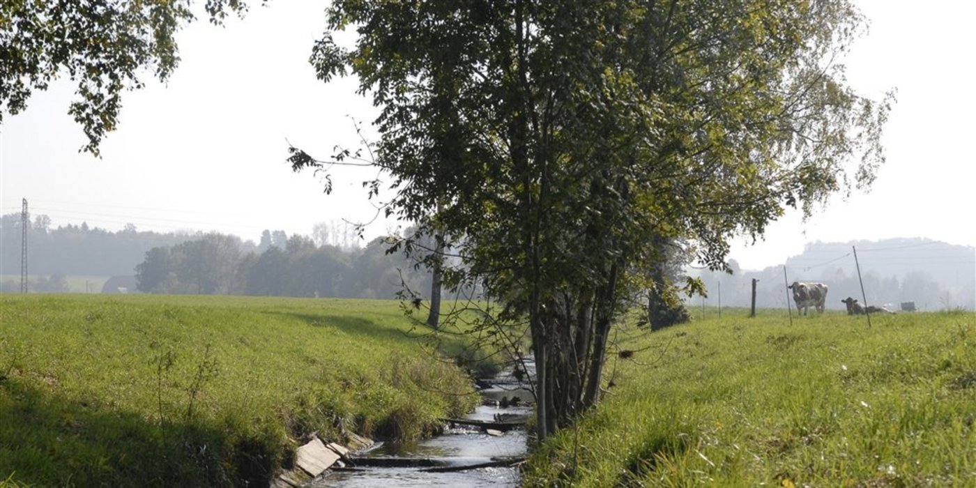 Eine Herausforderung für das Wassermanagement stellt die Intensivierung der Landwirtschaft dar. (Bild BauZ)