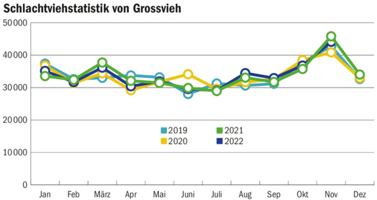 Die Schlachtungen von Grossvieh bewegen sich in den letzten vier Jahren auf ähnlichem Niveau. Schliessen Schlachthöfe, müssen andernorts Kapazitäten geschaffen werden. 