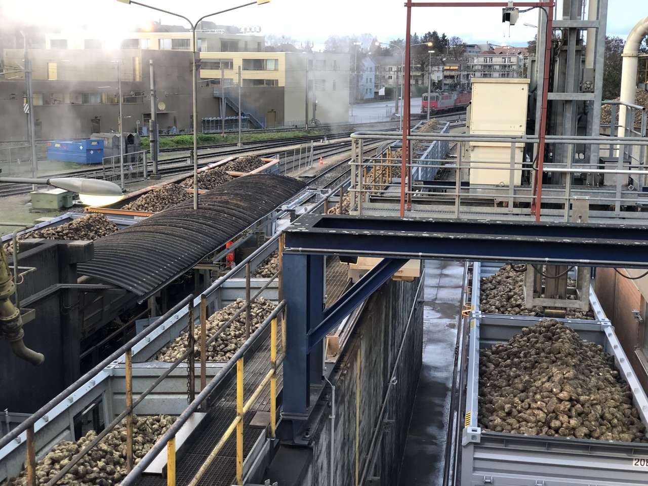 Auch bei der Bahnlogistik hatte die Zucker AG mit Anlaufproblemen zu kämpfen. Aufgrund des akuten Lokführermangels konnte für kurzfristige krankheitsbedingte Ausfälle kein Ersatz organisiert werden, was zu zwei Zugsausfällen führte. (Bild K. Erfurt)