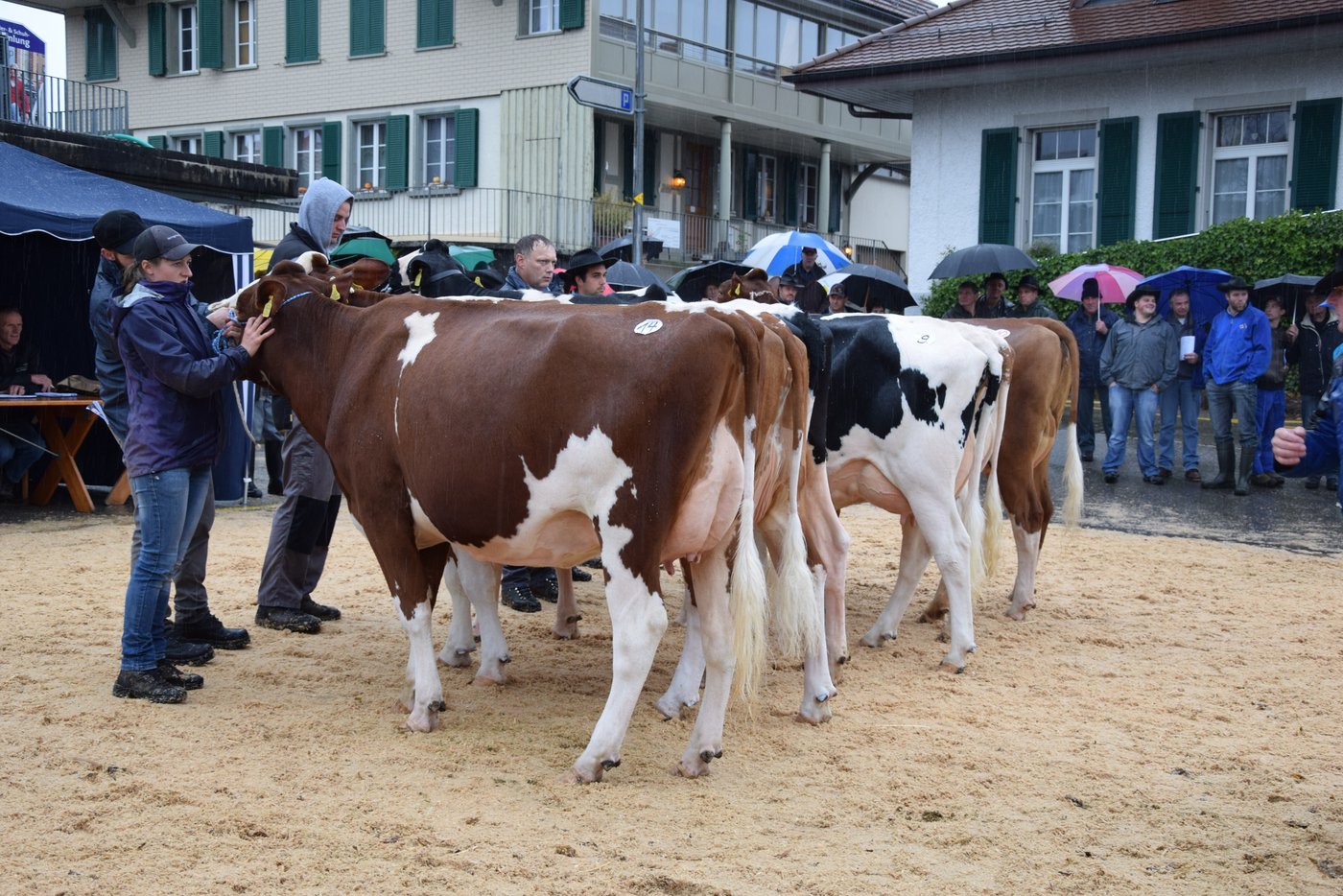Kat 2: 1. PeSa Big Apple Madonna, Peter Salvisberg, Kirchlindach; 2. Schwizers Vinos Camilla, Markus Schweizer, Utzigen; 3. Schwandenhof Fever Cascada, Andreas Streit, Köniz.