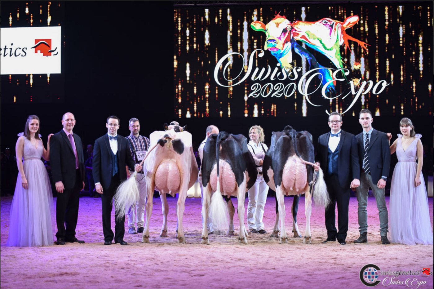 Euterchampion Intermédiaire (v.l.n.r): Gobeli’s Durango Perry, Gobeli Holstein, Saanen BE; Reserve: S Bro Gold Chip Alexis, Edwin Steiner, Wilen SZ; Mention: Petitclerc Archrival Salta, Edwin Steiner, Wilen SZ. (BIld Cowsmo)