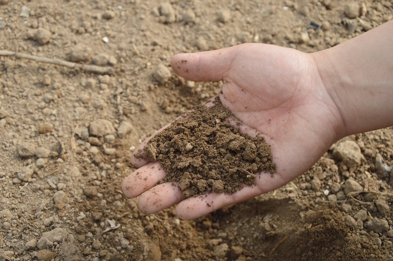 Die mit Quecksilber belasteten Böden im Wallis werden besser gesäubert als bisher geplant. (Symbolbild Pixabay)